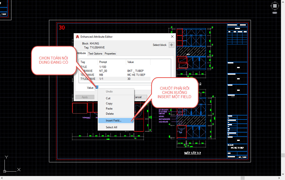 Tip Nhỏ - Biến Field Dùng Hiển Thị Nội Dung Rất Hay Và Tiện Dụng